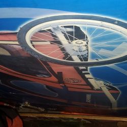 Schwinn Bike Trailer 