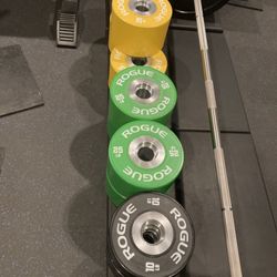 Pair Of Rogue Db-15 Loadable Dumbbells With  Rogue OSO Aluminum Collars And 6 Pairs Of Specialty Rogue Dumbbell Bumpers - Retails For Over $1600