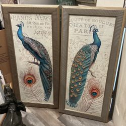 Peacock Picture Frames 22x46