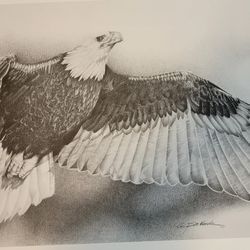 Eagle in flight