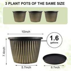 Planter Pots for Indoor/Outdoor, 3 Pack 10 Inch Plastic Pots with Saucer & Drainage Holes, Gold