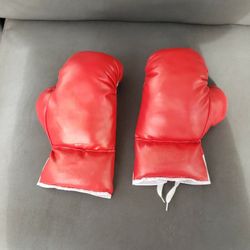 Youth Boxing Gloves