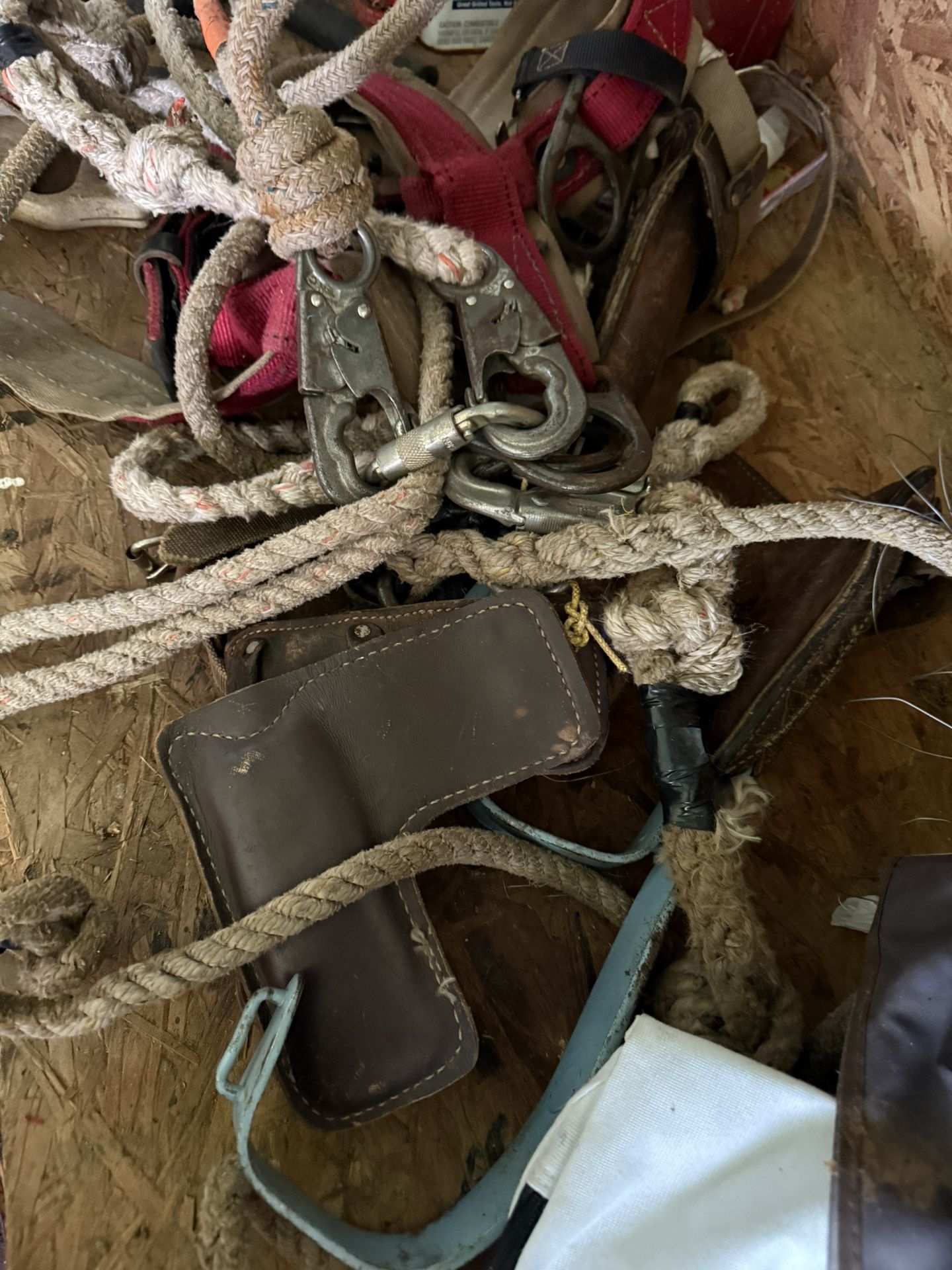 Tree Climbing Spikes And Safety Belt