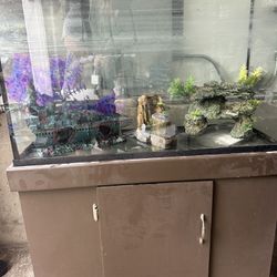 60 Gallon Tank And Stand