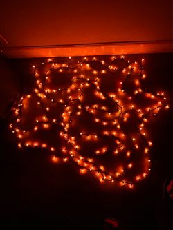 Halloween lights - indoor or outdoor