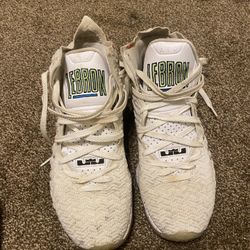 Nike LeBron Shoes 