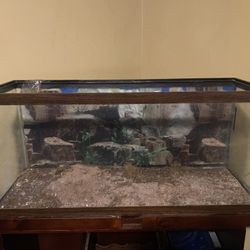 fish tank 