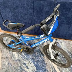 Schwinn Koen 16in Kids Bike