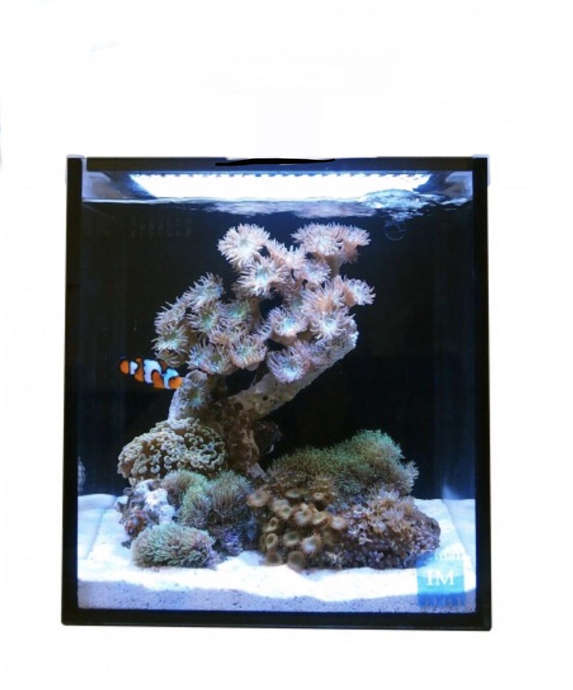 Innovative Marine 10 Gallon NUVO Fusion Nano Aquarium Fish Tank