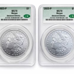 Morgan Silver Dollars