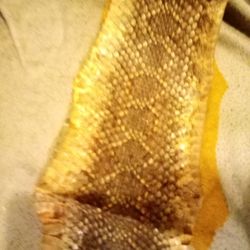 RATTLESNAKE SKIN Diamondback 
