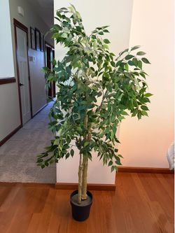 Realistic Faux Ficus Silk Tree with Pot – Great Condition!