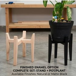 Mid-Century Modern Wood Plant Stands - Sturdy & Sleek