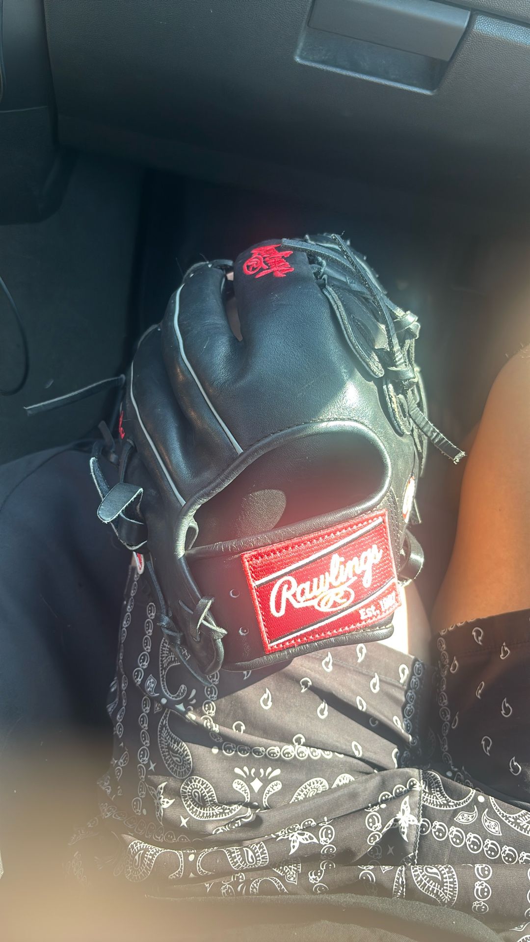 Heart Of the Hyde Rawlings Baseball Glove
