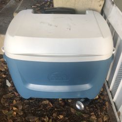 Igloo Cooler With Wheels 