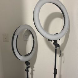 Professional Lights X-Large  OBO