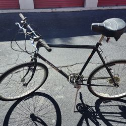 Nishiki Mountain Series Bike 