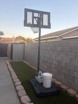 Lifetime basketball hoop