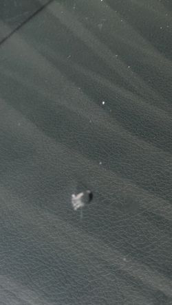 Auto glass chip rapier