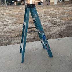 Werner Ladder Great Condition 