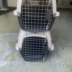 Petmate Pet Taxi 2 Carriers