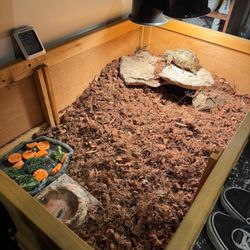 selling my tortoise enclosure