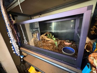 Reptile enclosure