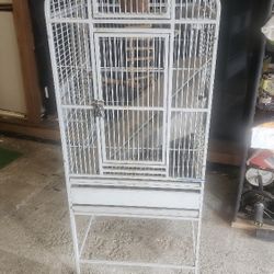 Bird Cage
