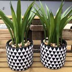 Farmhouse Home Decoration 13” Tall Black White Triangle Design Ceramic Potted Plants Set Of 2