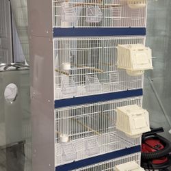 Bird Cage 