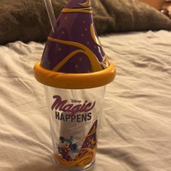 Disney Tumbler