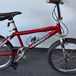 NEXT 20” BIKE