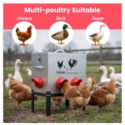 Comedero automático para pollos de 40 libras