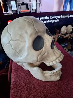 Halloween Decorations Skulls