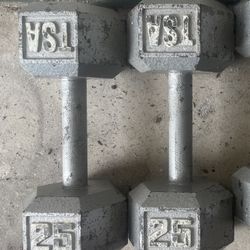 Pair of 25 lbs Dumbbells
