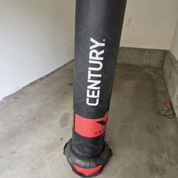Century Punching Bag