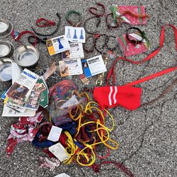 Small Dog  Bundle Stuff 