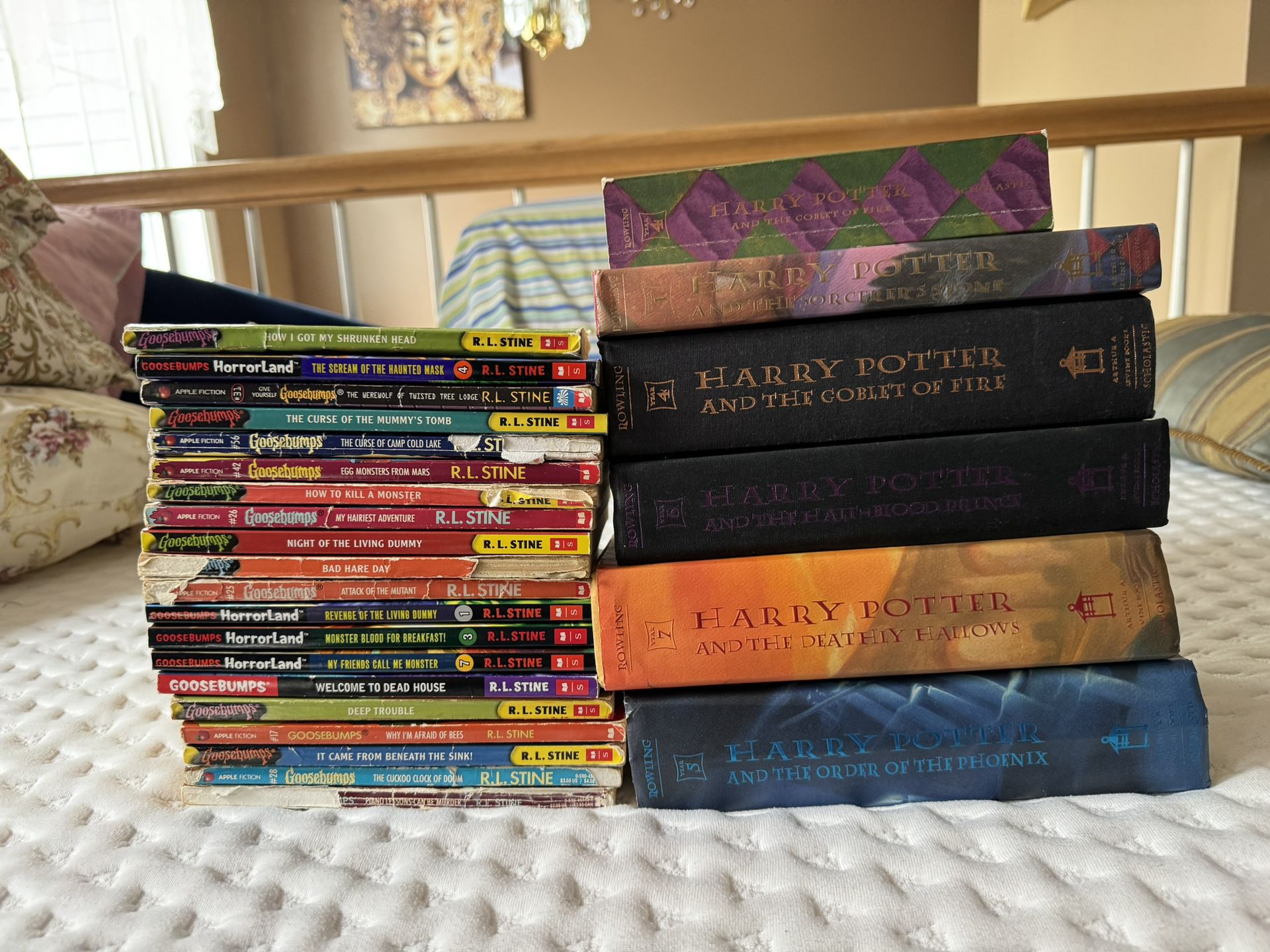 Goosebumps/ Harry Potter Book Collection 
