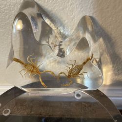 Two Scorpions in Clear Resin Paperweight 