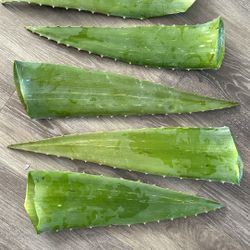 Sábila $1 Por Pieza