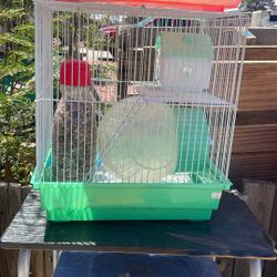 Hamster Cage 