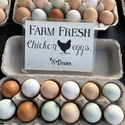 Fresh Organic Colorful Chicken Eggs