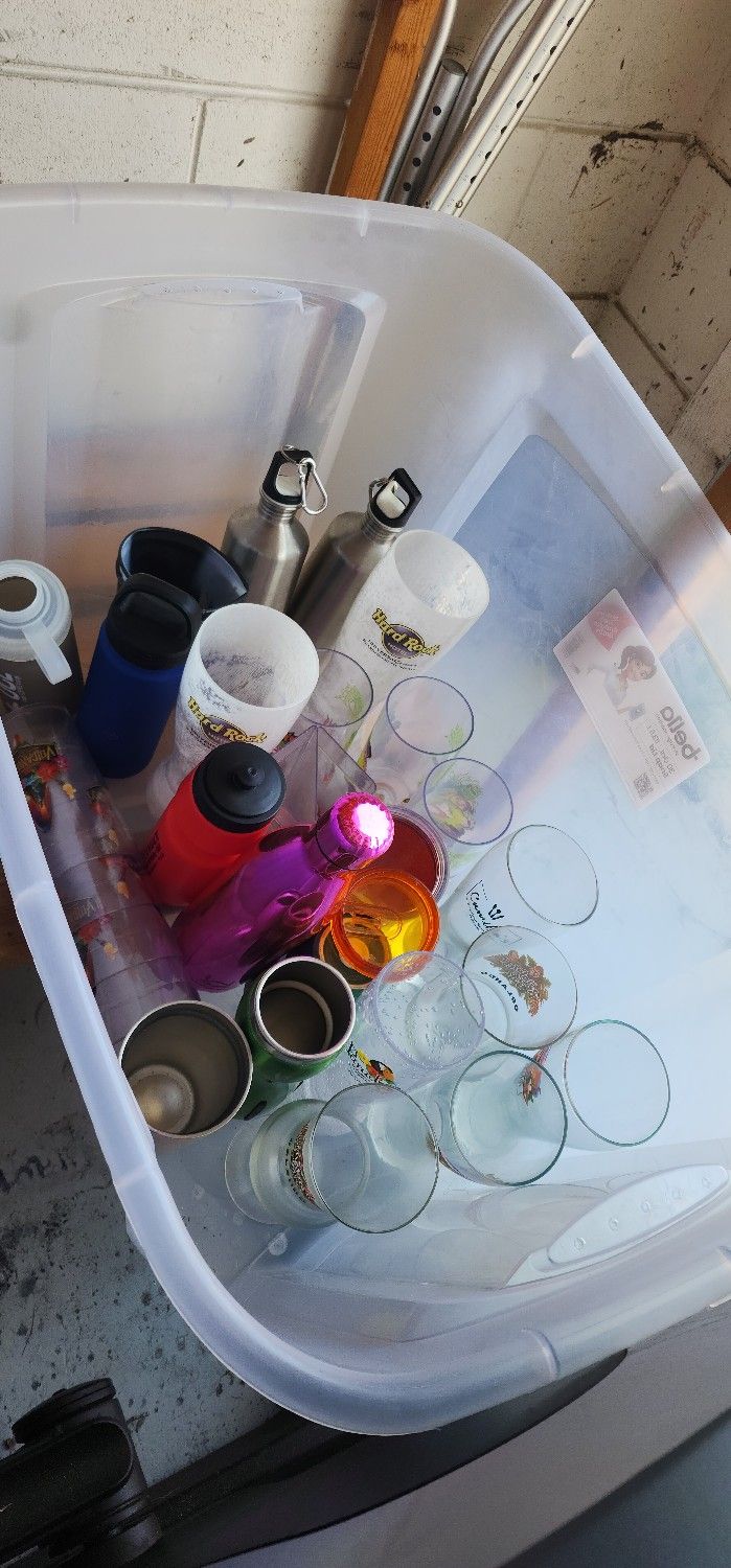 Orlando Novelty Cups