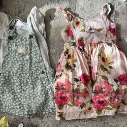 Toddler Girl Clothes Size 3T