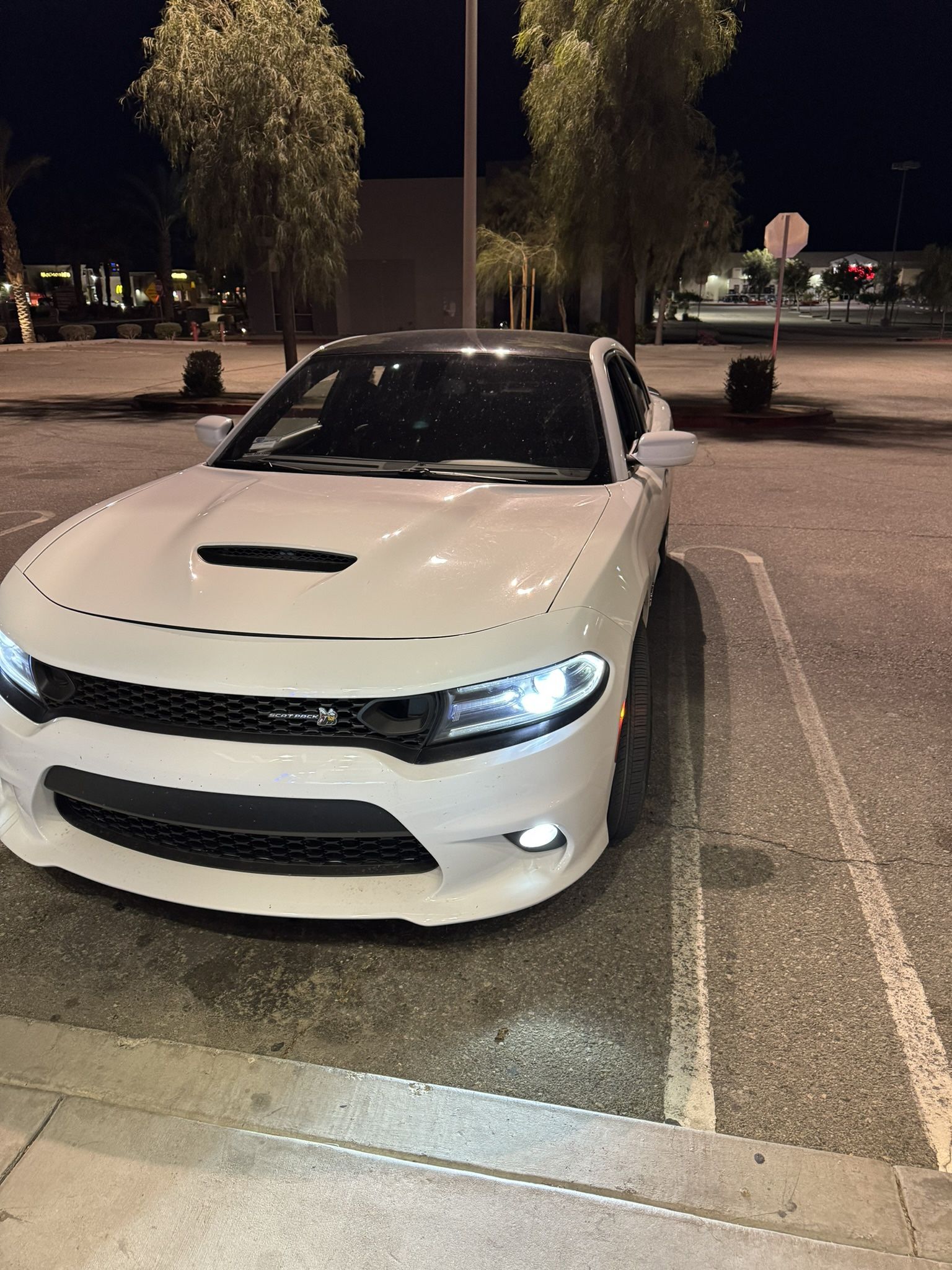 Dodge Charger Hood