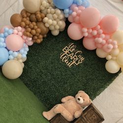 Gender Reveal Teddy Bear Theme 