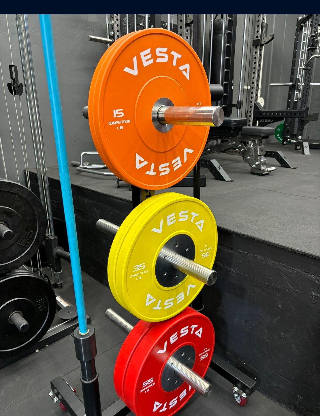 Bumper Plates (6 Plate Options!!) | Gym Equipment |