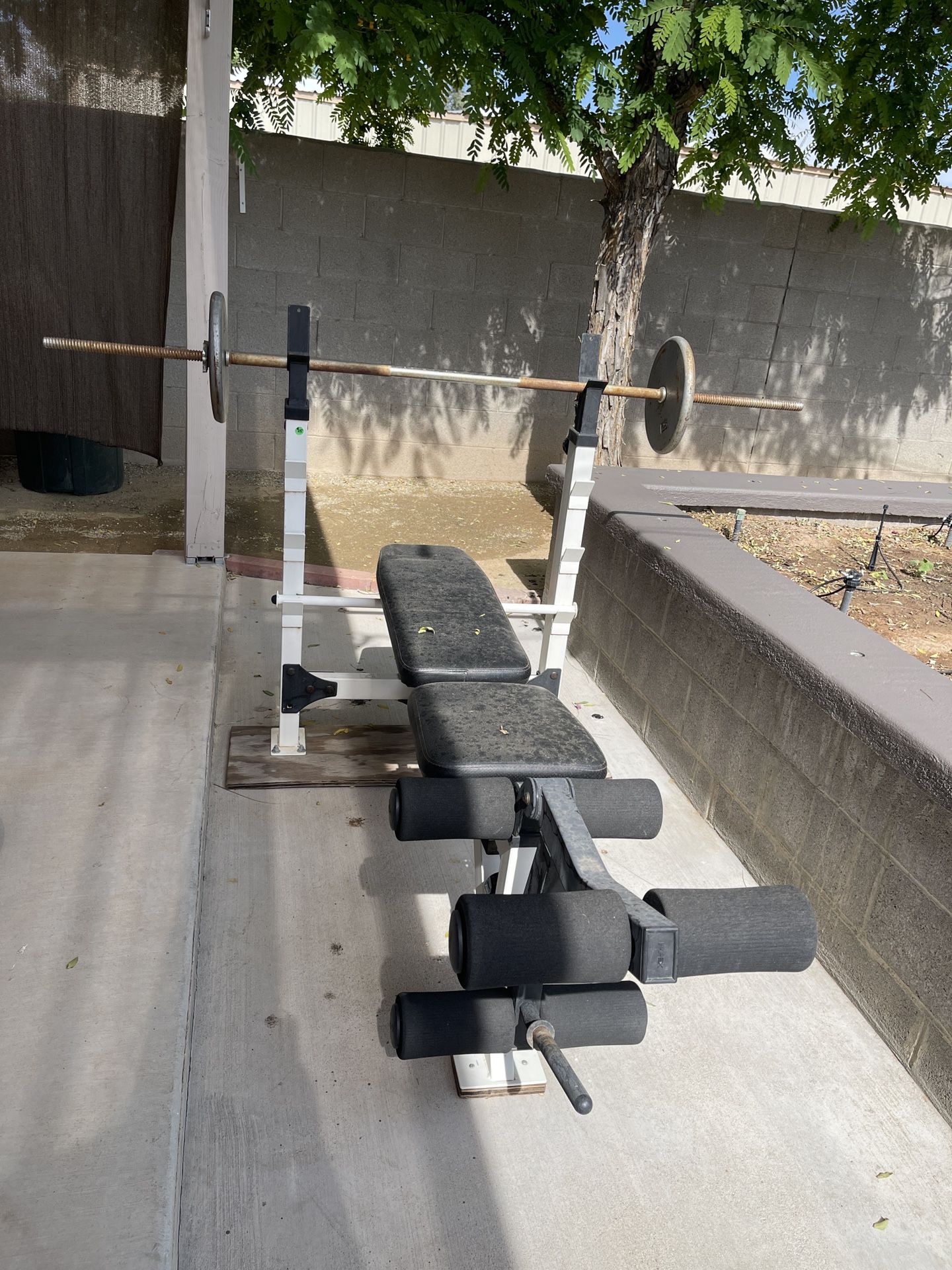Bench Press With Bar Bell