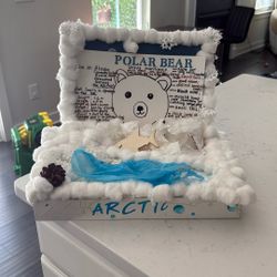 Polar Bear Project 