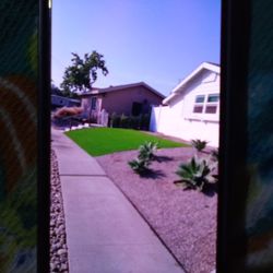 Artifitial Turf 